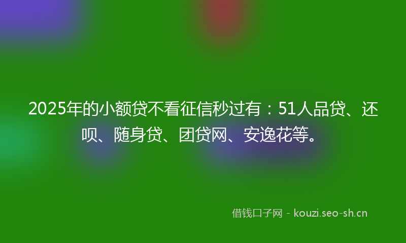 2025年的小额贷不看征信秒过有：51人品贷、还呗、随身贷、团贷网、安逸花等。