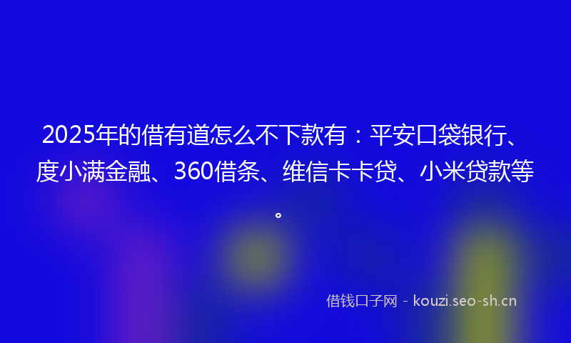 2025年的借有道怎么不下款有：平安口袋银行、度小满金融、360借条、维信卡卡贷、小米贷款等。