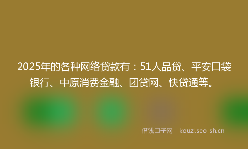 2025年的各种网络贷款有：51人品贷、平安口袋银行、中原消费金融、团贷网、快贷通等。