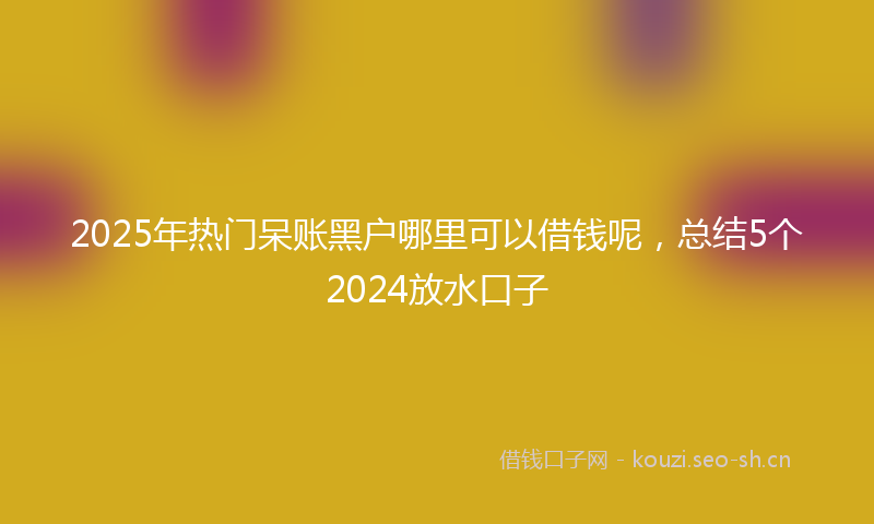 2025年热门呆账黑户哪里可以借钱呢，总结5个2024放水口子