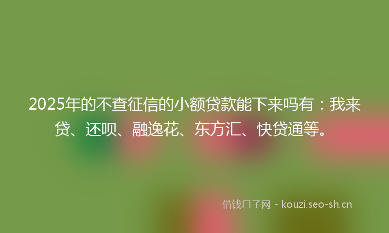 2025年的不查征信的小额贷款能下来吗有：我来贷、还呗、融逸花、东方汇、快贷通等。