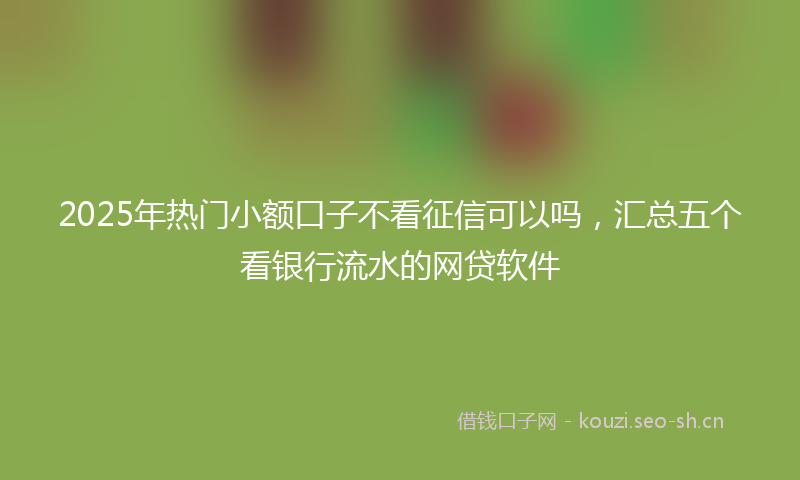 2025年热门小额口子不看征信可以吗，汇总五个看银行流水的网贷软件