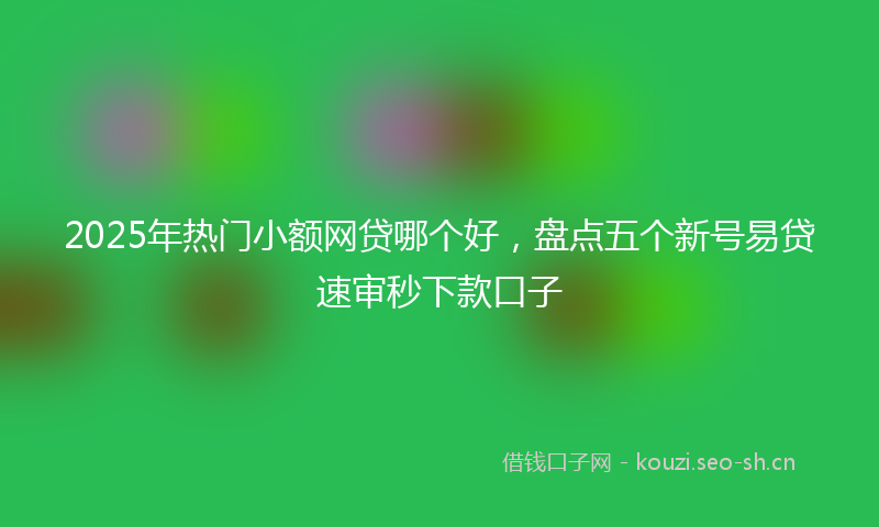2025年热门小额网贷哪个好，盘点五个新号易贷速审秒下款口子