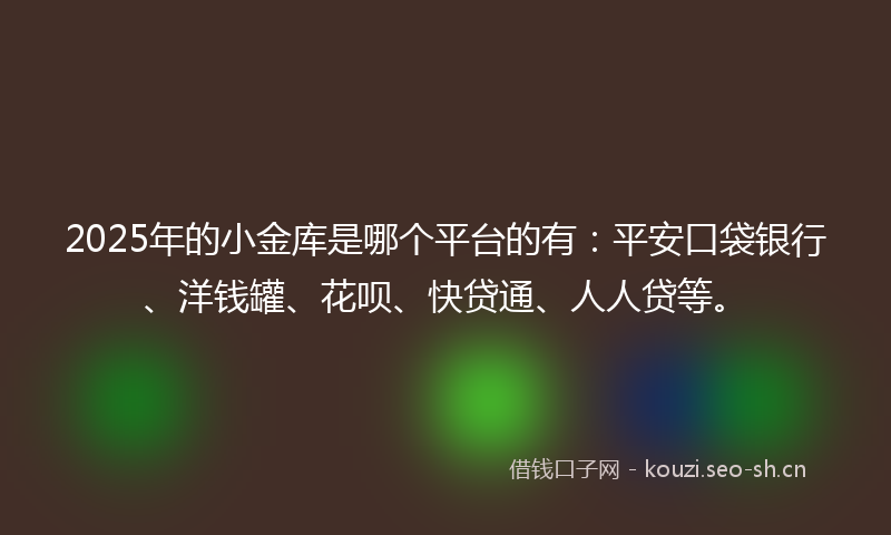 2025年的小金库是哪个平台的有：平安口袋银行、洋钱罐、花呗、快贷通、人人贷等。