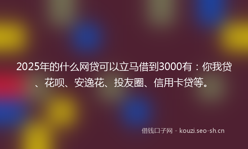 2025年的什么网贷可以立马借到3000有：你我贷、花呗、安逸花、投友圈、信用卡贷等。