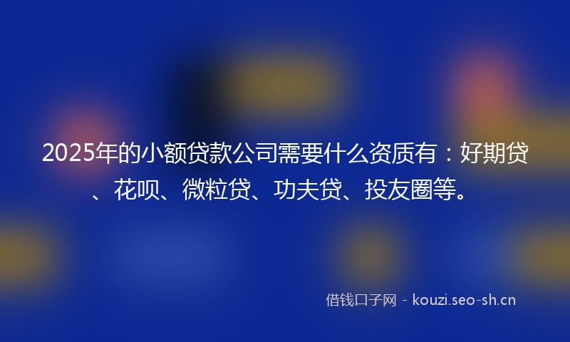2025年的小额贷款公司需要什么资质有：好期贷、花呗、微粒贷、功夫贷、投友圈等。