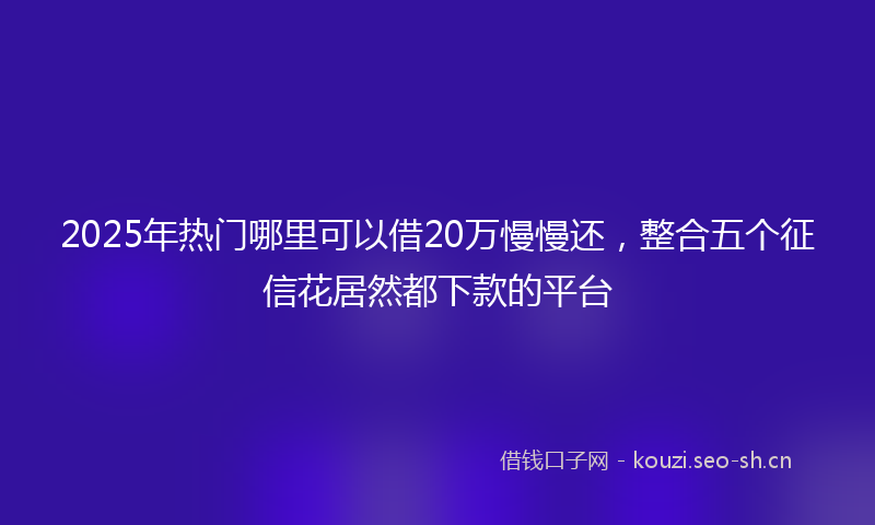 2025年热门哪里可以借20万慢慢还，整合五个征信花居然都下款的平台