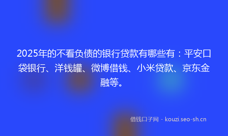 2025年的不看负债的银行贷款有哪些有：平安口袋银行、洋钱罐、微博借钱、小米贷款、京东金融等。