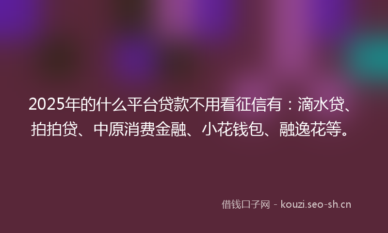 2025年的什么平台贷款不用看征信有：滴水贷、拍拍贷、中原消费金融、小花钱包、融逸花等。