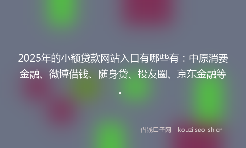 2025年的小额贷款网站入口有哪些有：中原消费金融、微博借钱、随身贷、投友圈、京东金融等。