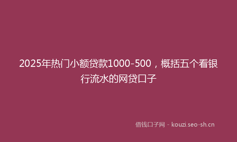 2025年热门小额贷款1000-500，概括五个看银行流水的网贷口子