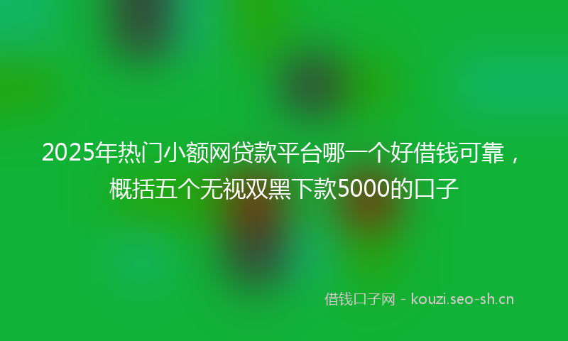 2025年热门小额网贷款平台哪一个好借钱可靠，概括五个无视双黑下款5000的口子