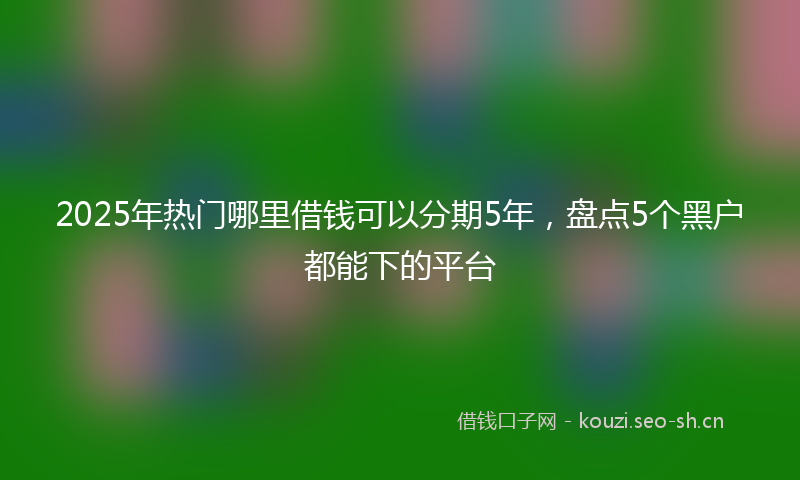2025年热门哪里借钱可以分期5年，盘点5个黑户都能下的平台