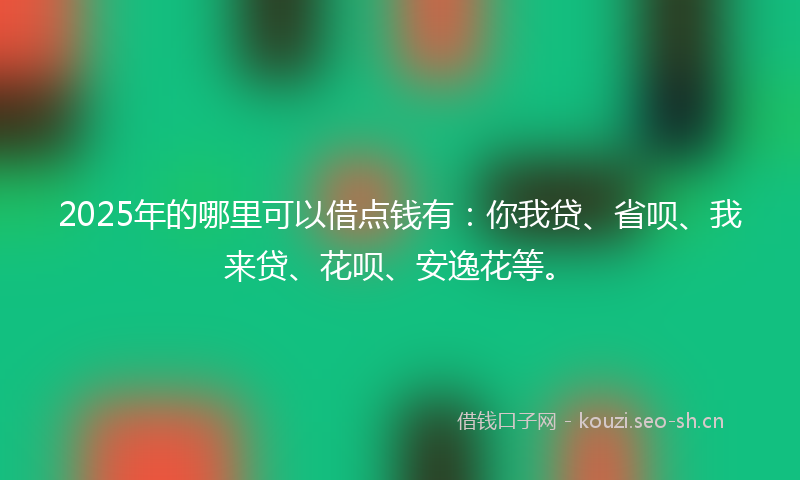 2025年的哪里可以借点钱有：你我贷、省呗、我来贷、花呗、安逸花等。