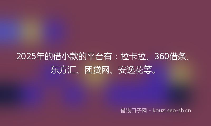 2025年的借小款的平台有：拉卡拉、360借条、东方汇、团贷网、安逸花等。