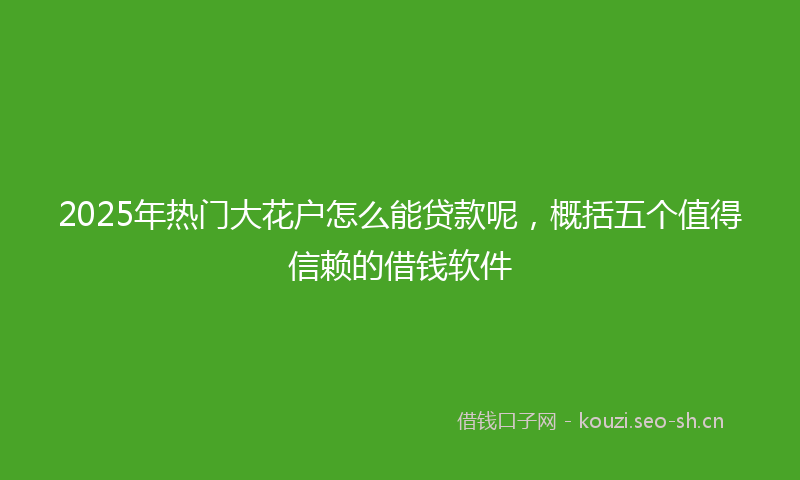 2025年热门大花户怎么能贷款呢，概括五个值得信赖的借钱软件