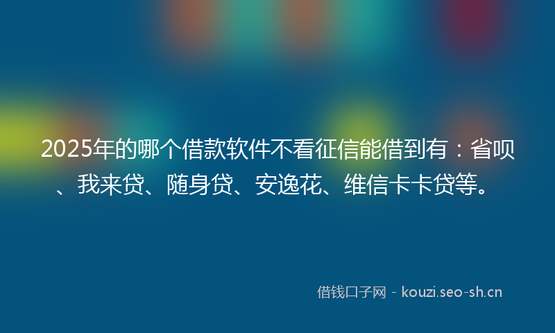 2025年的哪个借款软件不看征信能借到有：省呗、我来贷、随身贷、安逸花、维信卡卡贷等。