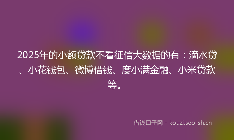 2025年的小额贷款不看征信大数据的有：滴水贷、小花钱包、微博借钱、度小满金融、小米贷款等。