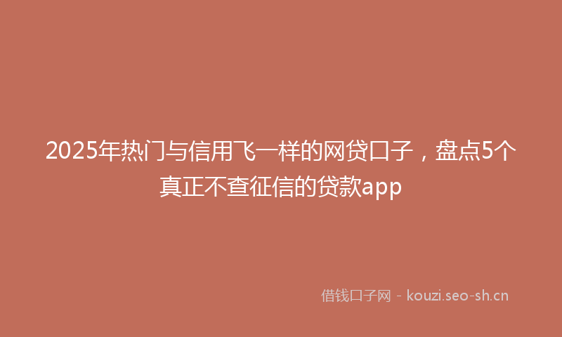 2025年热门与信用飞一样的网贷口子，盘点5个真正不查征信的贷款app