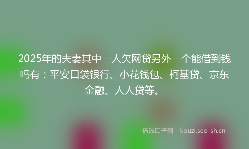 2025年的夫妻其中一人欠网贷另外一个能借到钱吗有：平安口袋银行、小花钱包、柯基贷、京东金融、人人贷等。