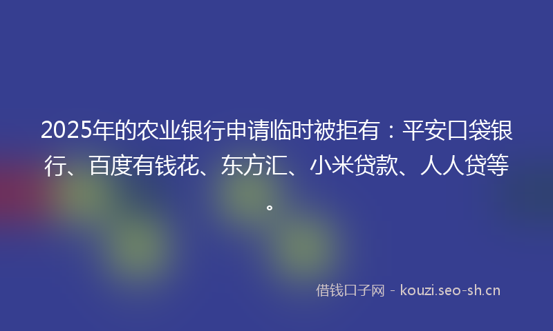 2025年的农业银行申请临时被拒有：平安口袋银行、百度有钱花、东方汇、小米贷款、人人贷等。