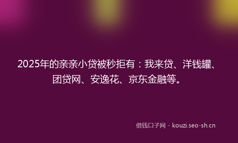 2025年的亲亲小贷被秒拒有：我来贷、洋钱罐、团贷网、安逸花、京东金融等。