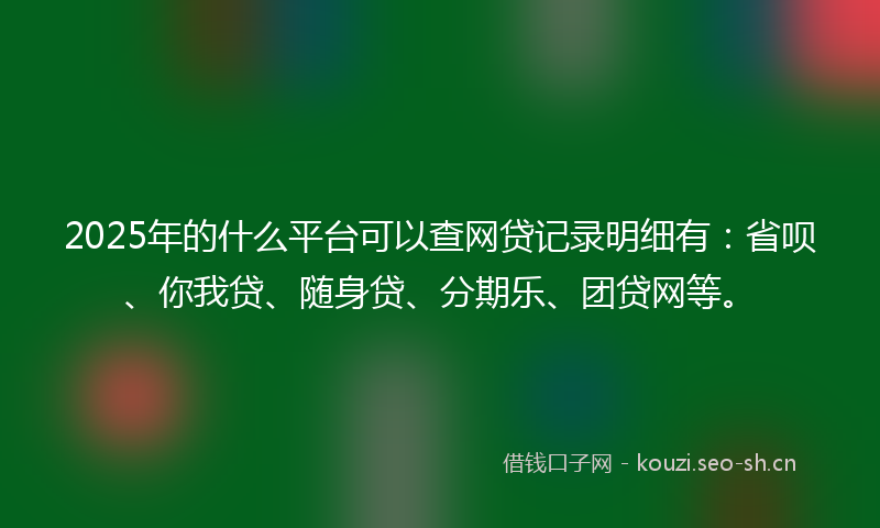 2025年的什么平台可以查网贷记录明细有：省呗、你我贷、随身贷、分期乐、团贷网等。