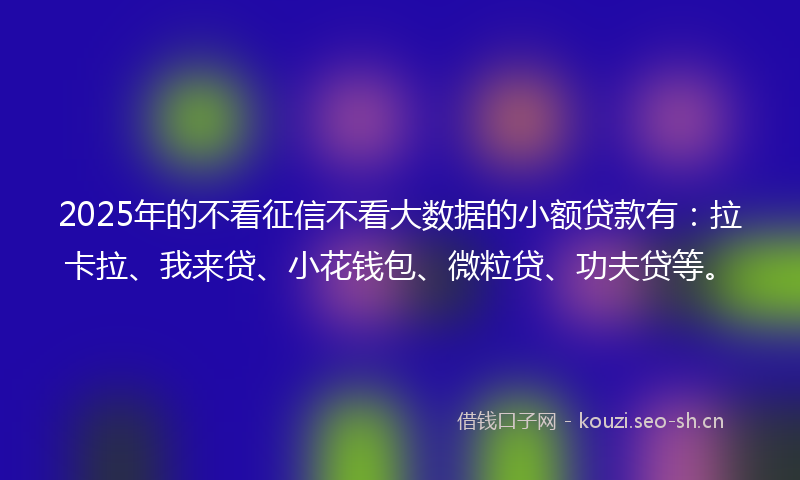 2025年的不看征信不看大数据的小额贷款有：拉卡拉、我来贷、小花钱包、微粒贷、功夫贷等。