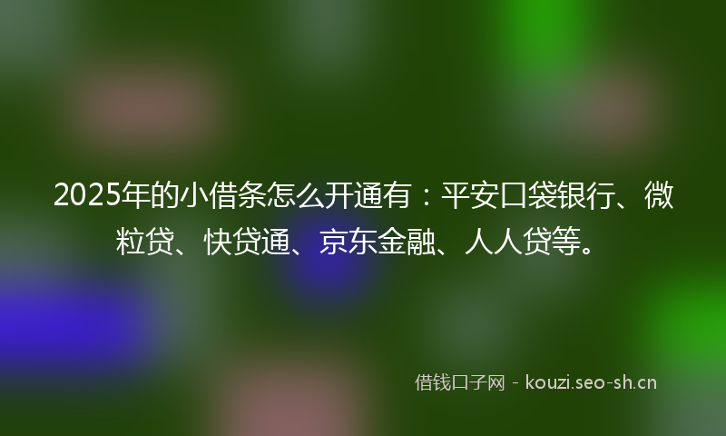 2025年的小借条怎么开通有：平安口袋银行、微粒贷、快贷通、京东金融、人人贷等。