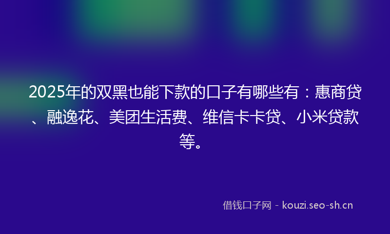 2025年的双黑也能下款的口子有哪些有：惠商贷、融逸花、美团生活费、维信卡卡贷、小米贷款等。