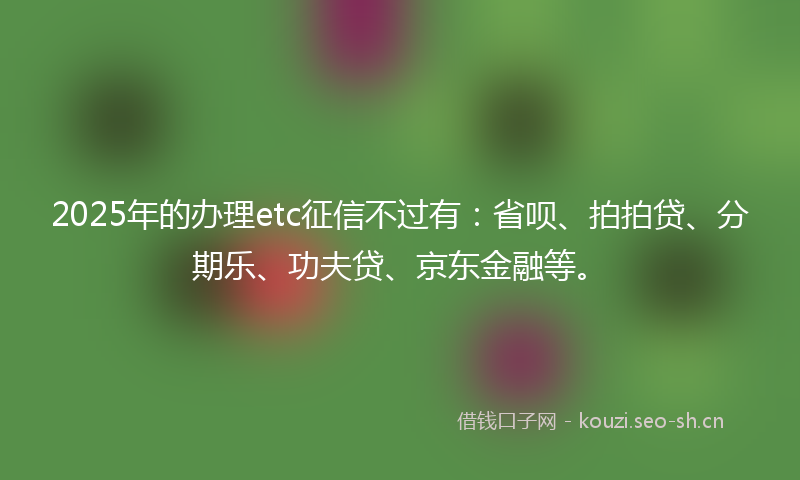 2025年的办理etc征信不过有：省呗、拍拍贷、分期乐、功夫贷、京东金融等。