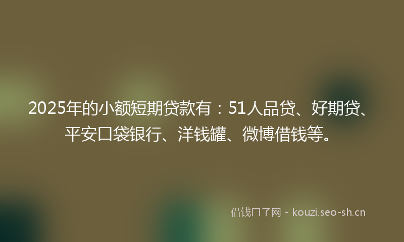 2025年的小额短期贷款有：51人品贷、好期贷、平安口袋银行、洋钱罐、微博借钱等。