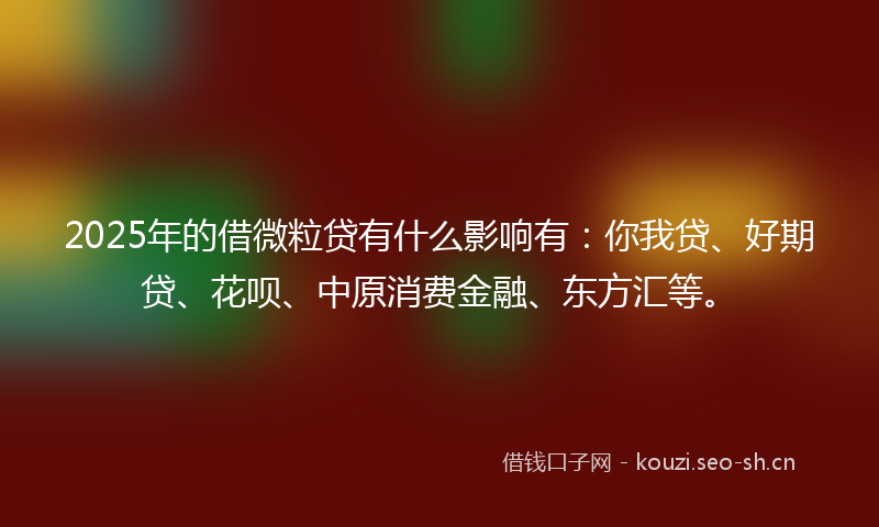 2025年的借微粒贷有什么影响有：你我贷、好期贷、花呗、中原消费金融、东方汇等。