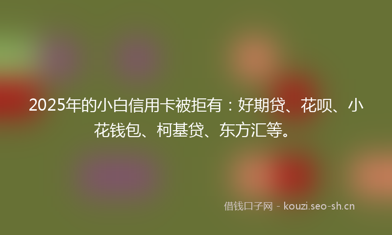 2025年的小白信用卡被拒有：好期贷、花呗、小花钱包、柯基贷、东方汇等。