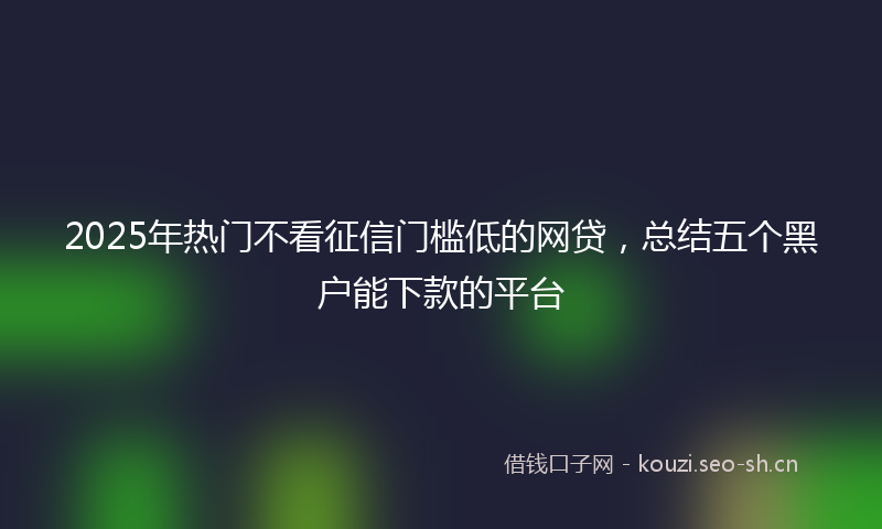 2025年热门不看征信门槛低的网贷，总结五个黑户能下款的平台