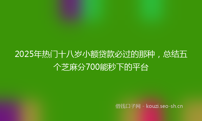 2025年热门十八岁小额贷款必过的那种，总结五个芝麻分700能秒下的平台