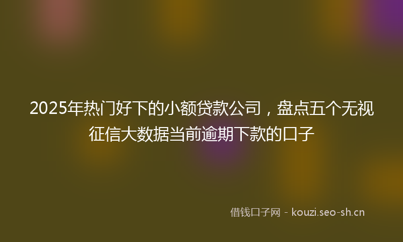 2025年热门好下的小额贷款公司，盘点五个无视征信大数据当前逾期下款的口子