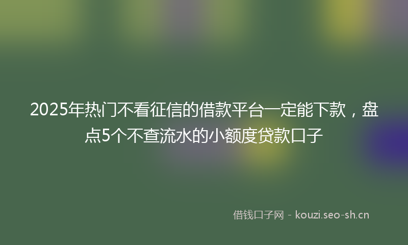 2025年热门不看征信的借款平台一定能下款，盘点5个不查流水的小额度贷款口子