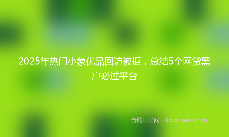 2025年热门小象优品回访被拒，总结5个网贷黑户必过平台