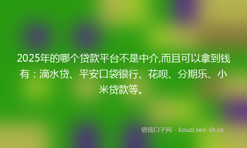 2025年的哪个贷款平台不是中介,而且可以拿到钱有：滴水贷、平安口袋银行、花呗、分期乐、小米贷款等。