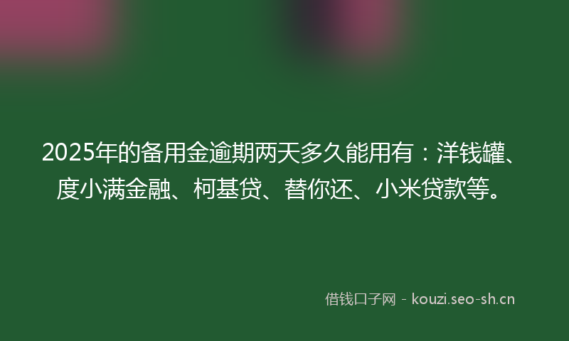2025年的备用金逾期两天多久能用有:洋钱罐、度小满金融、柯基贷、替你还、小米贷款等。