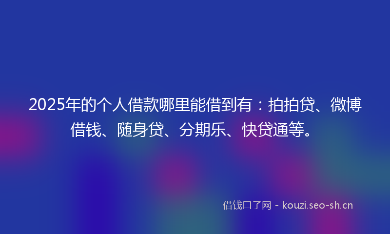 2025年的个人借款哪里能借到有：拍拍贷、微博借钱、随身贷、分期乐、快贷通等。
