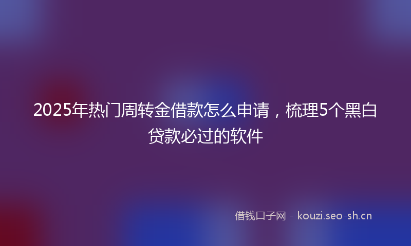 2025年热门周转金借款怎么申请，梳理5个黑白贷款必过的软件