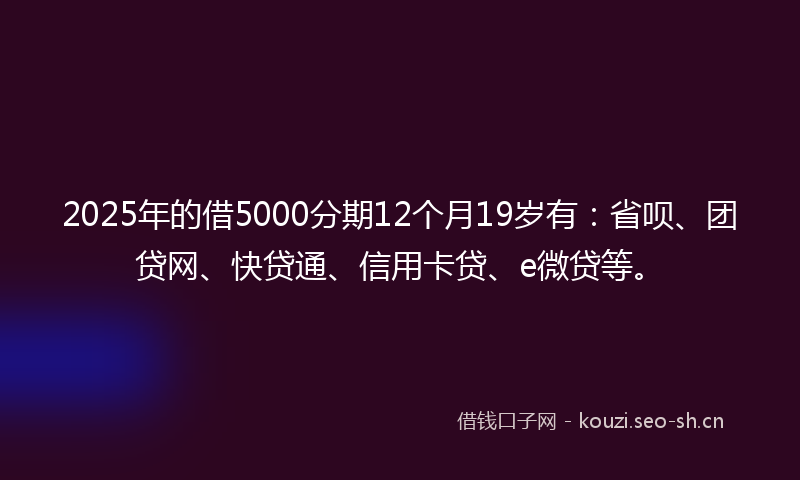 2025年的借5000分期12个月19岁有：省呗、团贷网、快贷通、信用卡贷、e微贷等。