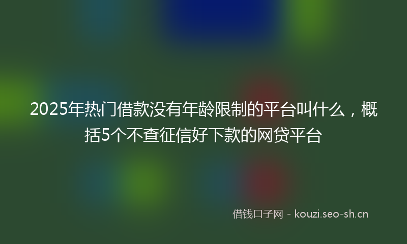 2025年热门借款没有年龄限制的平台叫什么，概括5个不查征信好下款的网贷平台