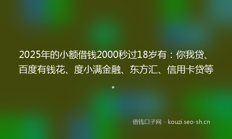 2025年的小额借钱2000秒过18岁有：你我贷、百度有钱花、度小满金融、东方汇、信用卡贷等。