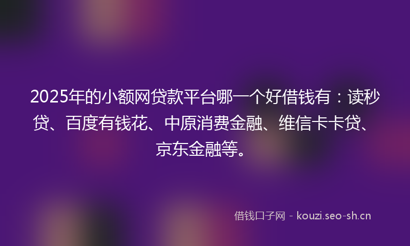 2025年的小额网贷款平台哪一个好借钱有：读秒贷、百度有钱花、中原消费金融、维信卡卡贷、京东金融等。
