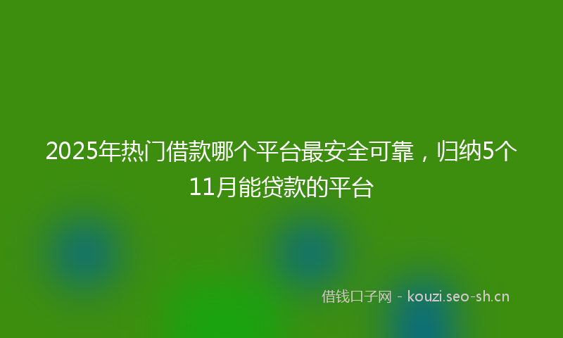 2025年热门借款哪个平台最安全可靠，归纳5个11月能贷款的平台