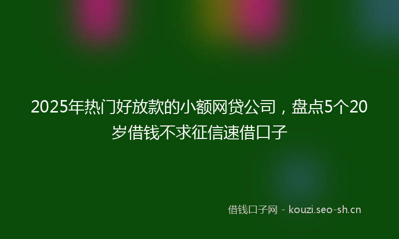 2025年热门好放款的小额网贷公司，盘点5个20岁借钱不求征信速借口子