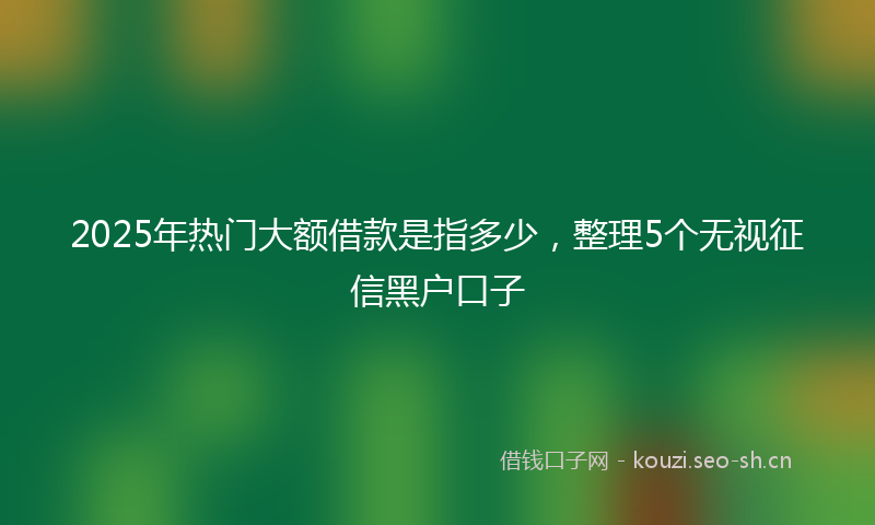 2025年热门大额借款是指多少，整理5个无视征信黑户口子